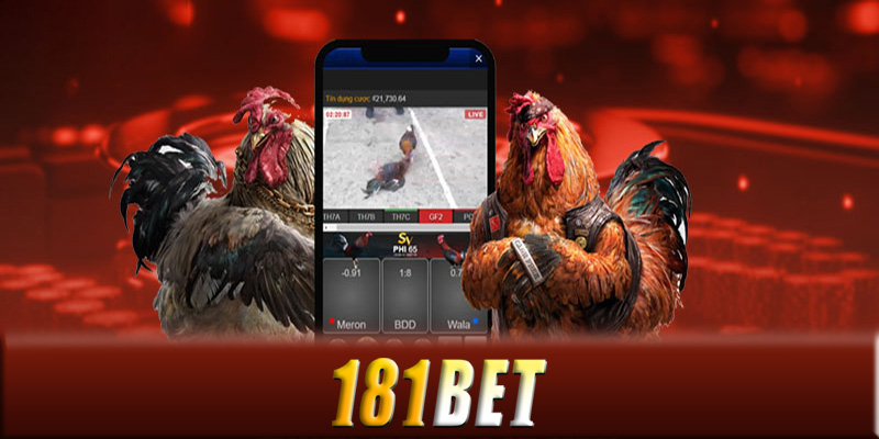 Những mẹo chơi đá gà 181Bet dễ thắng